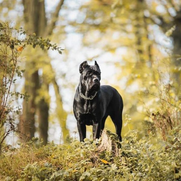 FB_IMG_1648112941392